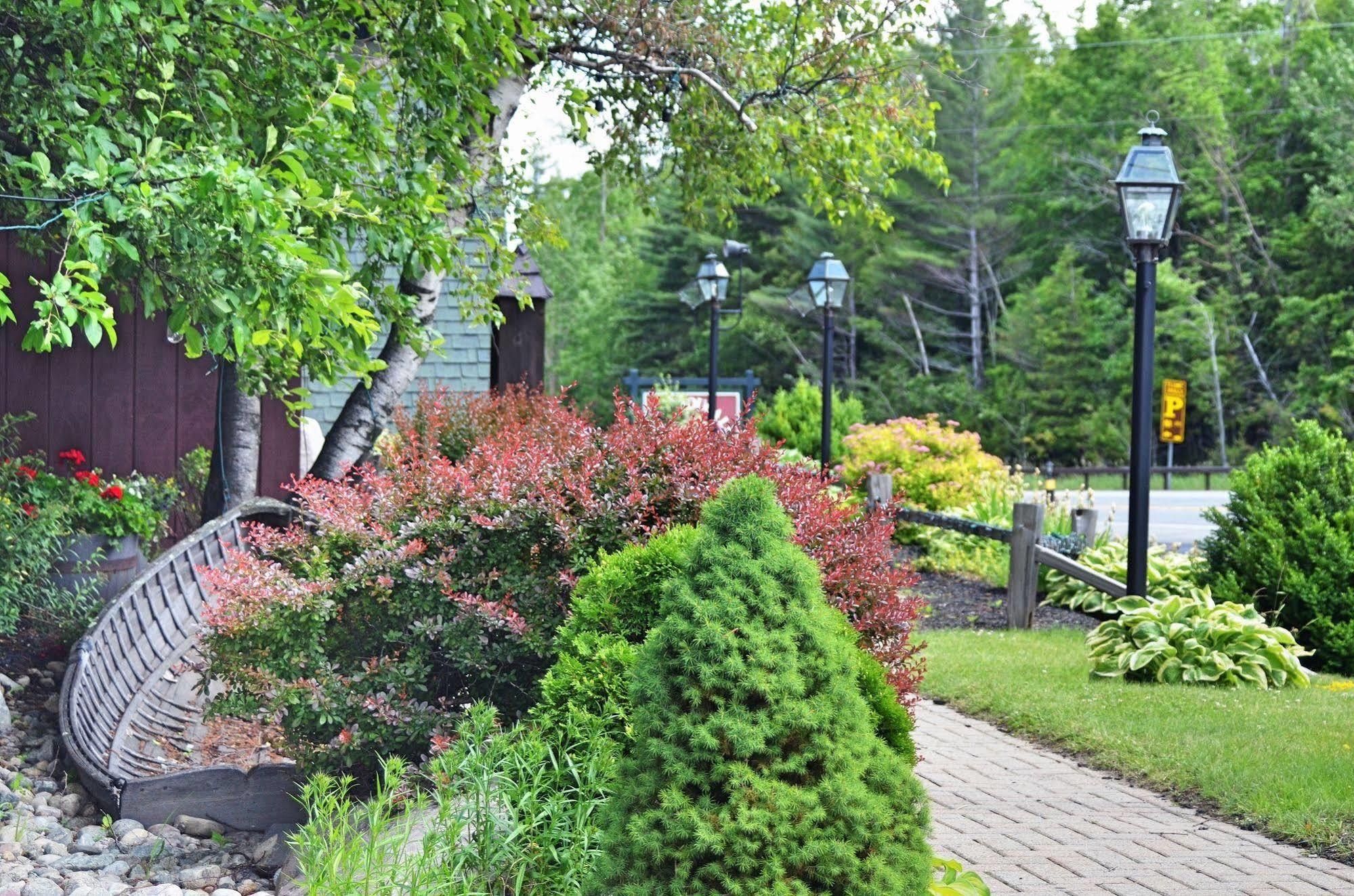 Hungry Trout Resort Wilmington Exterior photo